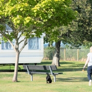 Field with bench