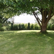 Single tree