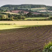 Plowed field